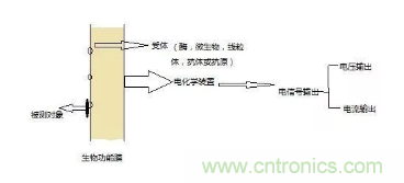 仿生傳感器的定義、原理、分類及應(yīng)用