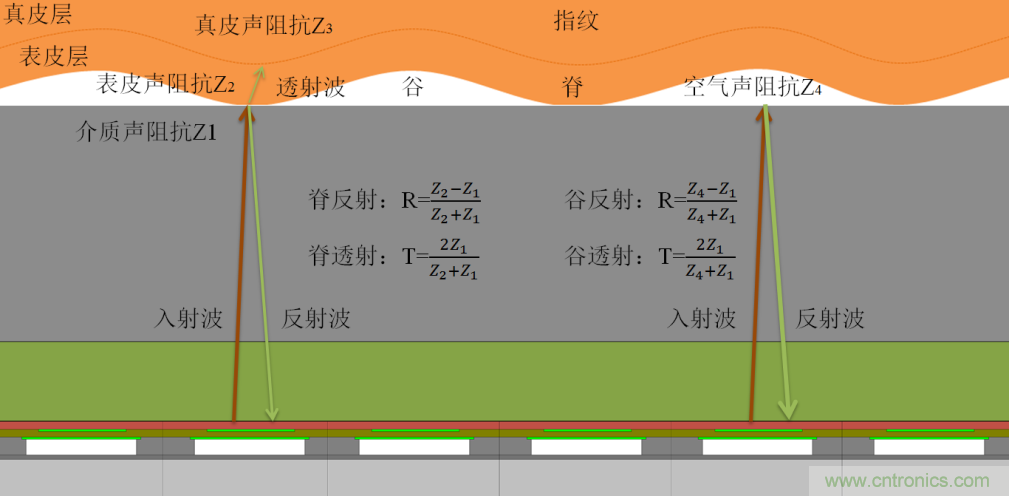 屏下指紋再添異彩! 上海思立微電子突破超聲新技術